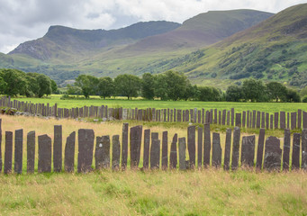 Slate fence in landscape