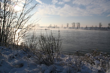 Winter am Rhein bei Bonn