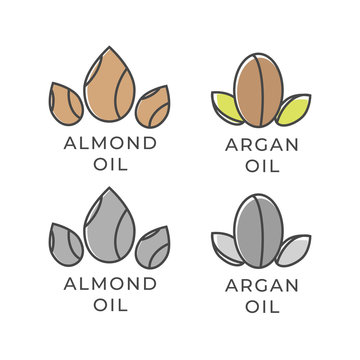 Almond And Argan Oil Icon. Almond Oil Logo. Argan Oil Vector Logo