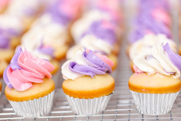 Cupcakes