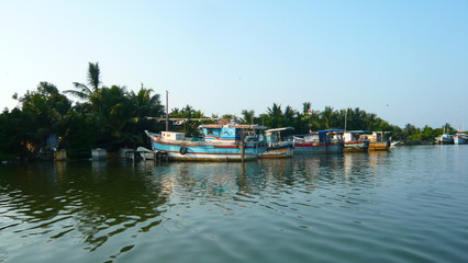 Fototapeta na wymiar Lac de Negombo