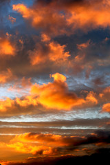 golden sunset over the sea