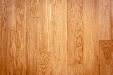 Wood texture. Wood texture for design and decoration