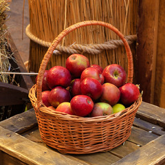 Organic apples in basket Fresh apples in nature