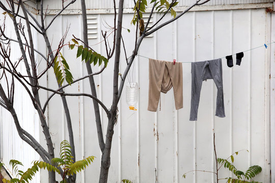 pants on the clothesline
