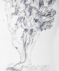 Hand Drawn Tree With Junky Line Technique
