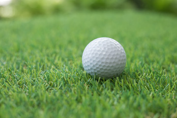 Golf ball on grass.