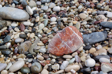 Rocky Beach Closeup
