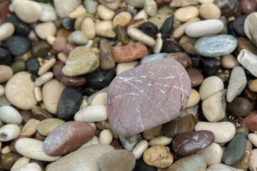 Rocks on Beach