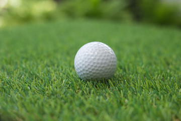 Golf ball on grass.