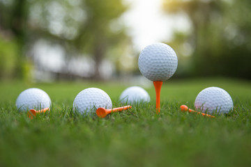 Golf ball on grass.