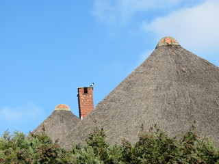 Fototapeta na wymiar Grey thatched roofs of an old country house, magpie sitting on red brick chimney, blue sky