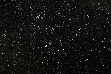 Real falling snow on a black background