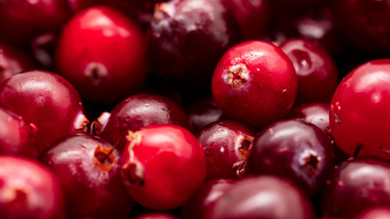 Red cranberry berries as a background
