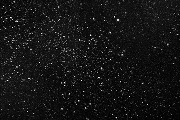 Real falling snow on a black background