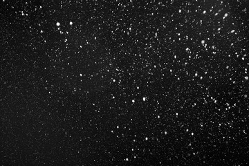 Real falling snow on a black background