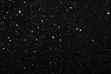 Real falling snow on a black background
