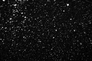 Real falling snow on a black background