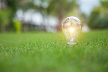idea concept-light bulbs on grass
