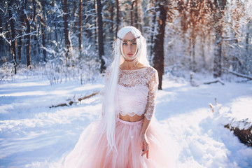Obraz na płótnie Canvas Beautiful girl elf in a dress in the fairy forest