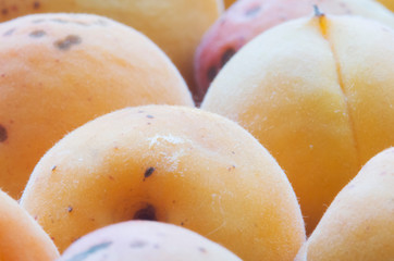 Abstract background of ripe yellow apricot, macro