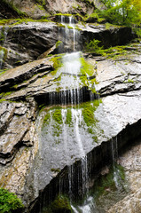 The rapid flow of water in mountain streams in the forest. Brooks descend from the inclined rock...