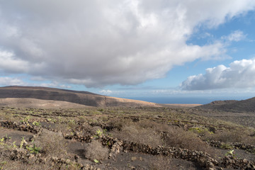 Volcanic fields in Lanzarote in Spain