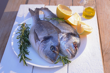 fresh fish on a plate