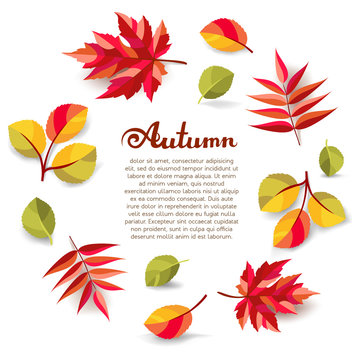 Autumn background with freehand lettering and colorful fall leaves with shadows.