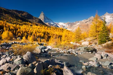 Rideaux velours Cervin Matterhorn slopes in autumn