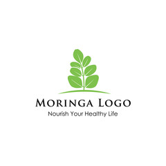 Moringa logo design inspiration