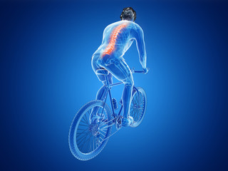 3d rendered illustration of a cyclists spine