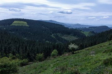Fototapeta na wymiar green landscape in basque country