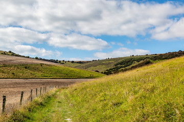 Fototapeta na wymiar A pathway through farmland in the South Downs in Sussex