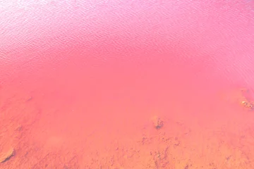 Fototapeten Natürliches rosa Wasser backgroung. Nahaufnahme von Pink Lake in Gregory, Western Australia. Salt Lake oder Hutt Lagoon mit leuchtend rosa Farbe für das Vorhandensein von Algen im Sommer. © bennymarty
