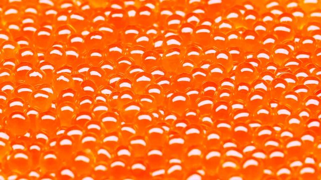 C4K macro of the delicious red salmon caviar on a turntable
