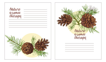 Realistic Botanical ink sketch of colorful fir tree branches with pine cone isolated on white background. Good idea for templates invitations, greeting cards. Vector illustrations