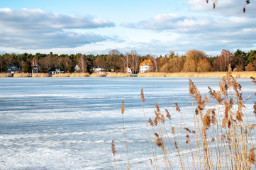 Zugefrorener See mit Schilf und angrenzenden Häusern und einem Waldgebiet.