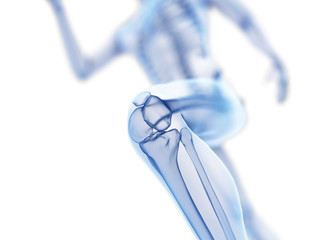 3d rendered illustration of a joggers knee
