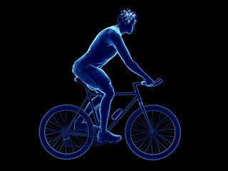 3d rendered illustration of a cyclist