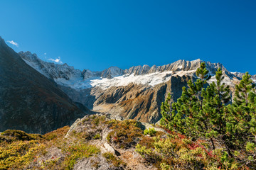 Blick auf die Urner Alpen