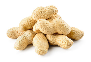 Peanuts isolated. Peanut on white background.
