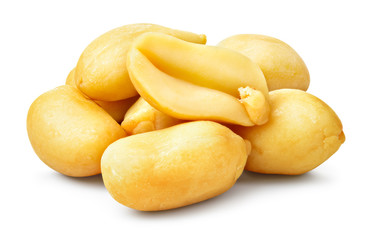 Peanut isolated. Peanuts on white background. With clipping path. Full depth of field.
