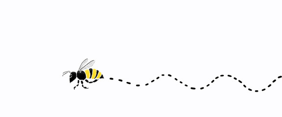 Bee flying on white color background.ideas of animal.clipping path