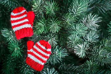 Merry Christmas and happy New year. Small knitted mittens on the Christmas tree. Background with copy space.