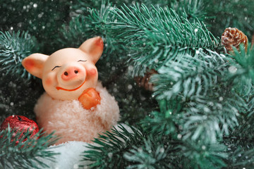Merry Christmas and happy New year. Toy pig in the branches of spruce. Background with copy space. Selective focus.