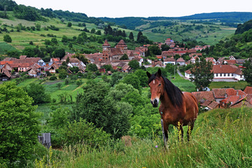 Valea Viilor (deutsch Wurmloch) in Transsilvanien / Siebenbürgen, Rumänien