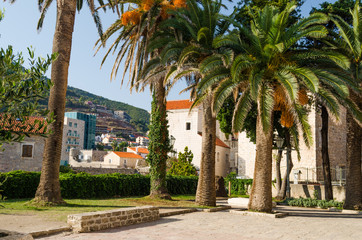 Palm trees on the background of the old town buildings with red tiled roof.