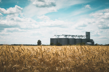 the grain elevator © Sergii Mostovyi