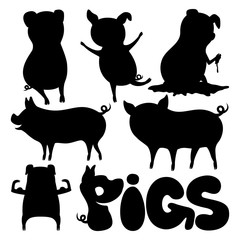Set of pigs on a white background.